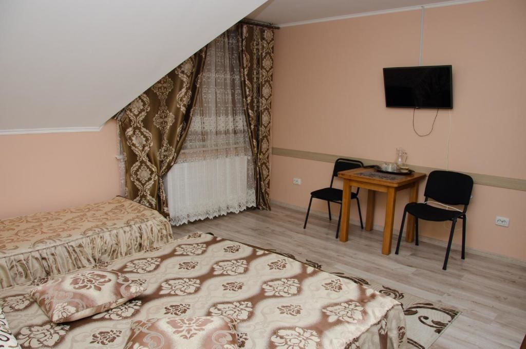 Отель Hotel VIZA Солотвино-60